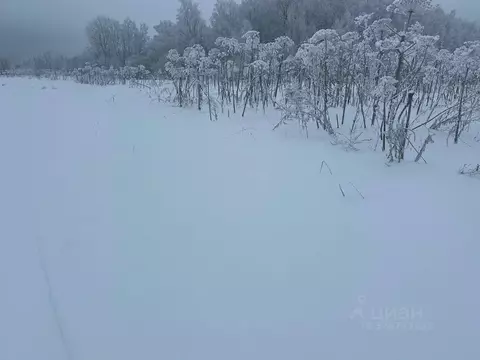 Участок в Московская область, Рузский муниципальный округ, д. Барынино ...