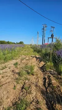 Участок в Калининградская область, Гвардейский муниципальный округ, ...