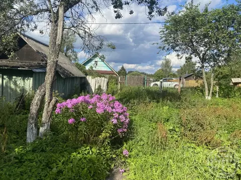 Участок в Ленинградская область, Лужский район, Серебрянское с/пос, д. ...