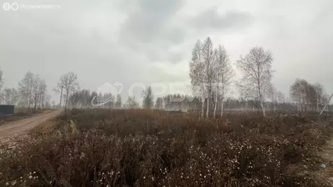 Участок в Тюменская область, Нижнетавдинский муниципальный округ, село ...