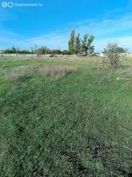 Участок в Феодосия, садоводческое товарищество Здоровье, Садовое ...