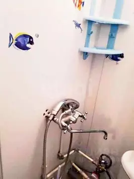 Студия Тюменская область, Тюмень проезд Геологоразведчиков, 48 (16.5 ...