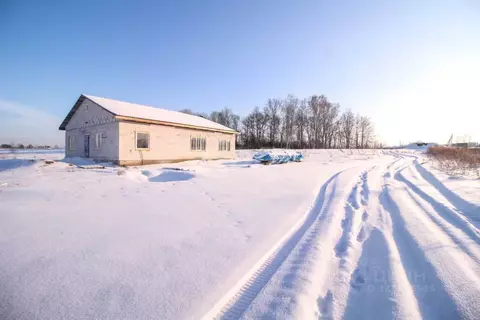 Дом в Алтайский край, Первомайский район, с. Фирсово Палитра жилой ...