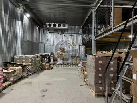 Склад в Ямало-Ненецкий АО, Новый Уренгой Оптимистов мкр, 6/1Б (656 м)