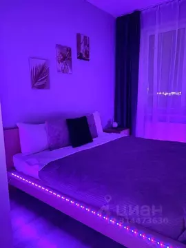 1-к кв. Ленинградская область, Всеволожский район, Свердловское ...