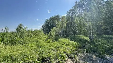 Участок в Тюменская область, Тюменский муниципальный округ, с. Кулига, ...