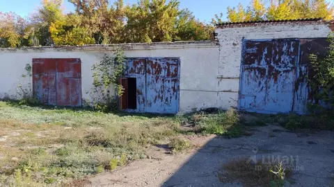 Помещение свободного назначения в Оренбургская область, с. Кваркено ...