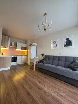 1-к кв. Свердловская область, Екатеринбург ул. Шаумяна, 20 (40.0 м)