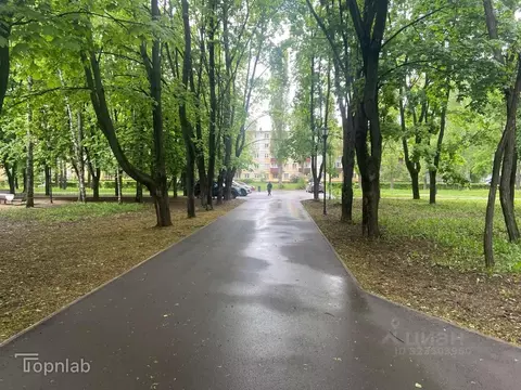 Помещение свободного назначения в Липецкая область, Липецк ул. ...