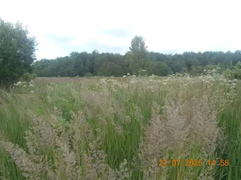 Участок в Московская область, Шаховская муниципальный округ, д. ...