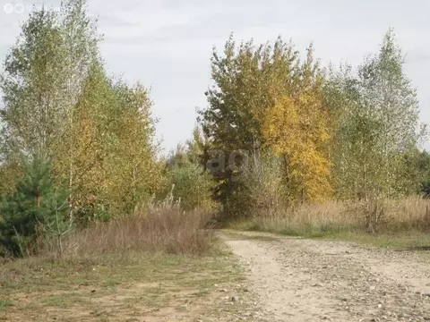 Участок в Костромской район, Шунгенское сельское поселение, СНТ ...