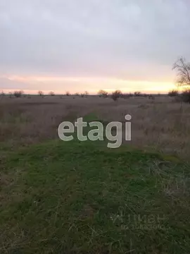 Участок в Крым, Сакский район, Митяевское с/пос, с. Шелковичное  ...