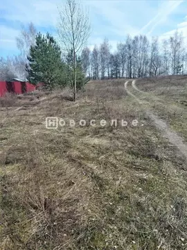 Участок в Рязанская область, Рязанский район, Мурминское с/пос, с. ...