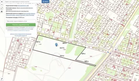 Участок в Воронежская область, Рамонский район, Новоживотинновское ...