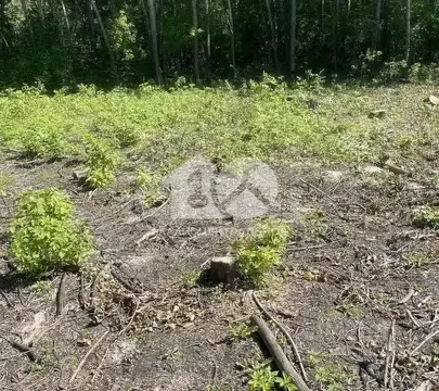 Участок в Новосибирская область, Новосибирский район, Станционный ...