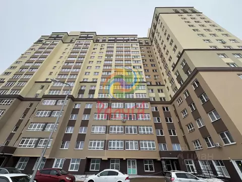 Студия Ивановская область, Иваново Видный мкр, 4 (31.0 м)