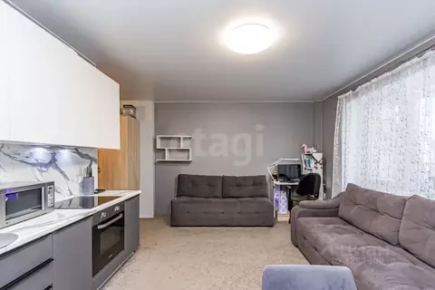 Студия Тюменская область, Тюмень Кремлевская ул., 112к4 (28.5 м)