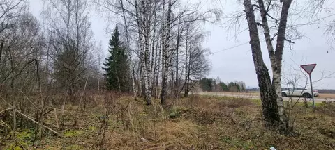 Участок в Московская область, Наро-Фоминский городской округ, д. ...