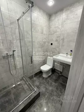 2-к кв. Пензенская область, Пенза ул. Измайлова, 38к2 (65.0 м)