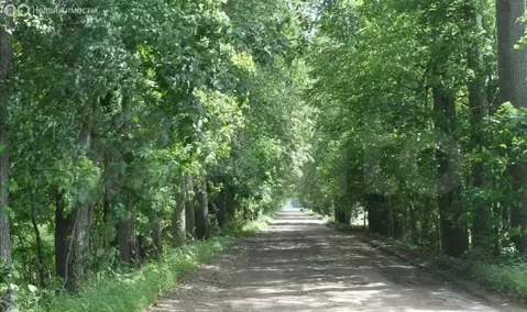 Участок в Волосовский район, Бегуницкое сельское поселение, деревня ...