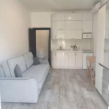 Студия Краснодарский край, Сочи ул. Аллея Челтенхема, 8/8 (24.0 м)