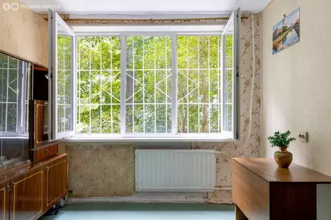 1-комнатная квартира: Санкт-Петербург, улица Шотмана, 4 (29.4 м)