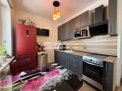 Студия Ленинградская область, Всеволожский район, пос. Бугры ул. ...