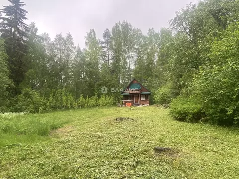 Участок в Карелия, Кондопожский муниципальный район, Кончезерское ...