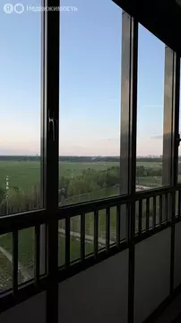 Квартира-студия: Санкт-Петербург, Арцеуловская аллея, 17 (24.6 м)