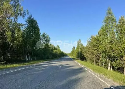 Участок в Тюменская область, Нижнетавдинский муниципальный округ, с. ...