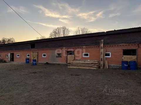 Участок в Курганская область, Кетовский муниципальный округ, с. ...