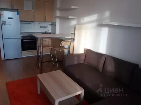 Студия Санкт-Петербург ул. Адмирала Черокова, 18к3 (25.0 м)