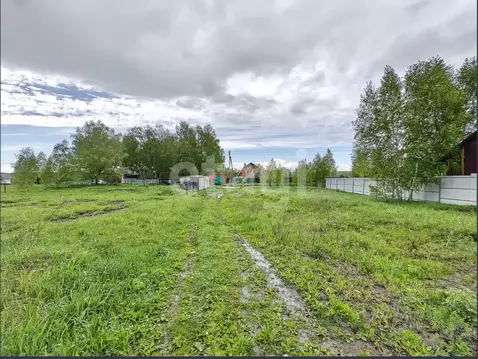 Участок в Новосибирская область, Тогучинский район, Репьевский ...
