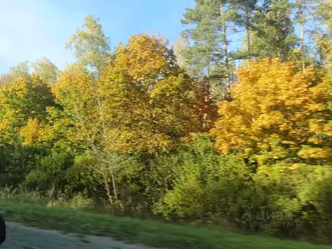 Участок в Москва № 223 кв-л, 52 (5.0 сот.)