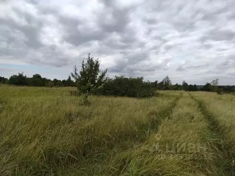 Участок в Воронежская область, Рамонский район, Березовское с/пос, ...
