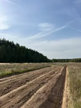 Участок в Московская область, Раменский муниципальный округ, Опушкино ...