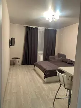 Студия Московская область, Домодедово городской округ, с. Домодедово ...