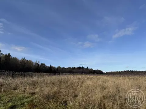 Участок в Ленинградская область, Ломоносовский район, Лопухинское ...