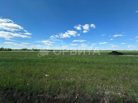 Участок в Тюменская область, Тюменский муниципальный округ, д. Елань ...