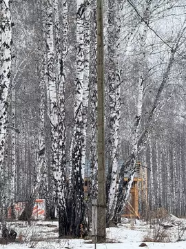 Участок в Челябинская область, Сосновский район, с. Долгодеревенское  ...