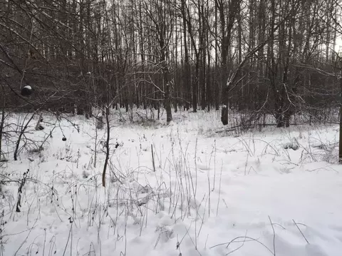 Участок в Башкортостан, Стерлитамакский район, Подлесненский ...