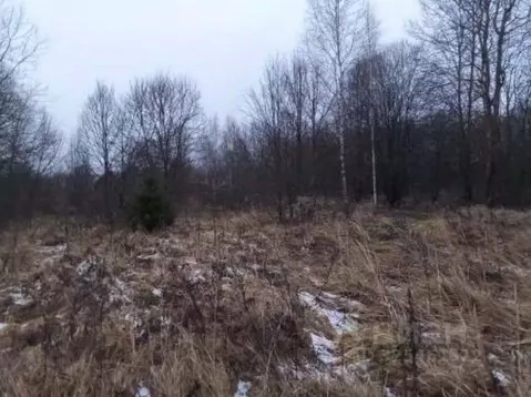 Участок в Московская область, Чехов муниципальный округ, д. Березенки  ...