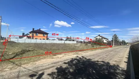 Участок в Воронежская область, Рамонский район, Новоживотинновское ...