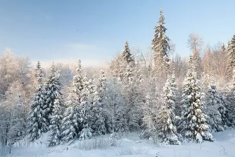 Участок в Московская область, Одинцовский городской округ, пос. ...