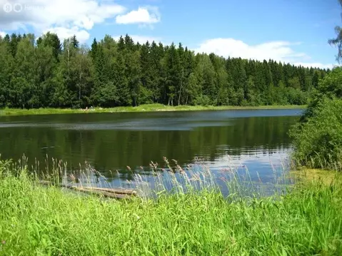 Участок в деревня Сивково, КП Зелёная роща-1, 2006А (15 м)