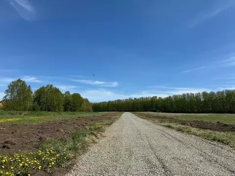 Участок в Свердловская область, Полевской муниципальный округ, с. ...