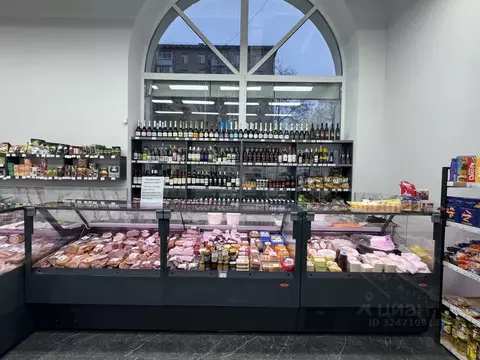 Помещение свободного назначения в Москва ул. Бориса Галушкина, 17 (258 ...