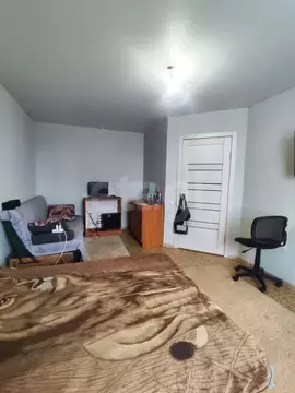 1-к кв. Курганская область, Шадринск ул. Василия Черемисина, 2А (30.5 ...