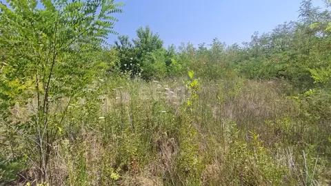 Участок в Ростовская область, Аксайский район, Мишкинское с/пос, ...