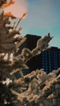 1-к кв. Ставропольский край, Ставрополь просп. Российский, 18к1 (33.6 ...